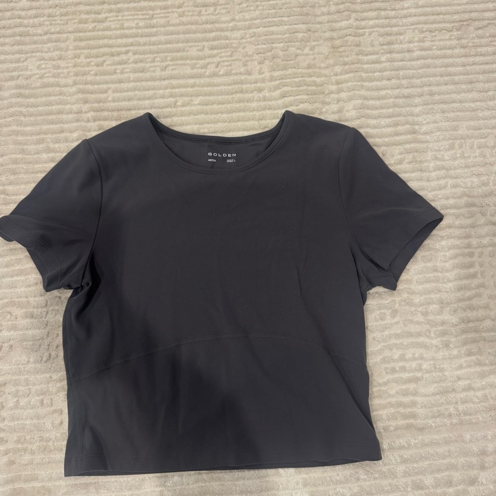 Aritzia Women's dark grey Tee